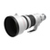 Canon RF 400mm f/2.8 L IS USM: Picture 5 thumbnail
