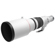 Canon RF600mm f/4 L IS USM: Picture 3 thumbnail