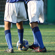 Canon RF 75-300MM F/4-5.6: Picture 12 thumbnail