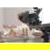 Canon RF-S 7.8mm f/4 STM Dual: Picture 6 thumbnail