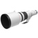 Canon 800mm f/5.6: Picture 4 thumbnail