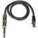 CAD Audio WX4010: Picture 4 thumbnail
