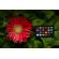 Calibrite ColorChecker Classic: Picture 4 thumbnail
