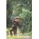 Cotton Carrier SKOUT Harness: Picture 4 thumbnail