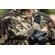 Cotton Carrier SKOUT Harness: Picture 11 thumbnail