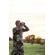 Cotton Carrier SKOUT Harness: Picture 4 thumbnail