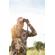 Cotton Carrier SKOUT Harness: Picture 9 thumbnail