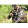 Cotton Carrier SKOUT Harness: Picture 24 thumbnail