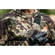 Cotton Carrier SKOUT Harness: Picture 26 thumbnail