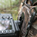 Cotton Carrier G3: Picture 12 thumbnail