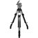 Cartoni L501: Picture 2 thumbnail