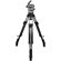 Cartoni L502: Picture 1 thumbnail