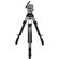 Cartoni L504: Picture 2 thumbnail