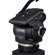 Cartoni Focus 22: Picture 2 thumbnail