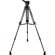 Cartoni Focus 10 Red Lock: Picture 2 thumbnail
