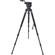 Cartoni Focus 12 Fluid Head with Stabilo...: Picture 1 thumbnail