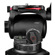 Cartoni Focus 12: Picture 7 thumbnail