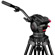 Cartoni Focus 10: Picture 4 thumbnail