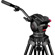 Cartoni Focus 10: Picture 4 thumbnail