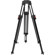 Cartoni L501: Picture 1 thumbnail