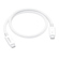 CalDigit Thunderbolt 4 Pro Cable: Picture 1 thumbnail