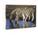 Canetti Wood Back Magnet Frame: Picture 2 thumbnail