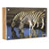 Canetti Wood Back Magnet Frame: Picture 2 thumbnail