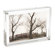 Canetti Original Magnet Frame: Picture 2 thumbnail