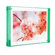 Canetti Color Edge Magnet Frame: Picture 2 thumbnail