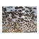 Sunbounce SunScrim Butterfly 6x6' Frame & Seamless Le Louch Diffusion Textile.: Picture 2 thumbnail