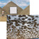 Sunbounce SunScrim Butterfly 6x6' Frame & Seamless Le Louch Diffusion Textile.: Picture 1 thumbnail