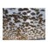 Sunbounce SunScrim Butterfly 8x8' Frame & Seamless Le Louche Diffusion Textile.: Picture 2 thumbnail