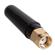 Cinegears Antenna: Picture 2 thumbnail