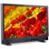 Cinegears Monitor: Picture 2 thumbnail