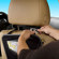 Case Logic Automotive Seatback Organizer, Color: Black: Picture 1 thumbnail
