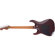 Charvel DK24 HSS 2PT CM QM: Picture 2 thumbnail