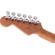 Charvel DK24 HSS 2PT CM QM: Picture 9 thumbnail