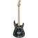 Charvel Warren DeMartini: Picture 1 thumbnail