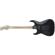 Charvel Warren DeMartini: Picture 2 thumbnail