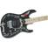 Charvel Warren DeMartini: Picture 6 thumbnail