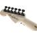 Charvel Warren DeMartini: Picture 7 thumbnail