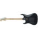 Charvel Warren DeMartini: Picture 3 thumbnail