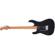 Charvel Pro-Mod DK24 HH 2PT CM: Picture 4 thumbnail