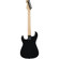 Charvel San Dimas Style 1 FR MPL: Picture 2 thumbnail