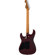 Charvel San Dimas Style 1 FR CM: Picture 2 thumbnail