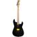 Charvel Sean Long Signature: Picture 1 thumbnail