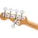 Charvel San Dimas Bass PJ V: Picture 7 thumbnail