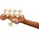Charvel Pro-Mod: Picture 9 thumbnail