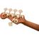 Charvel Pro-Mod: Picture 8 thumbnail