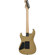 Charvel San Dimas Style 1 FR RW: Picture 2 thumbnail